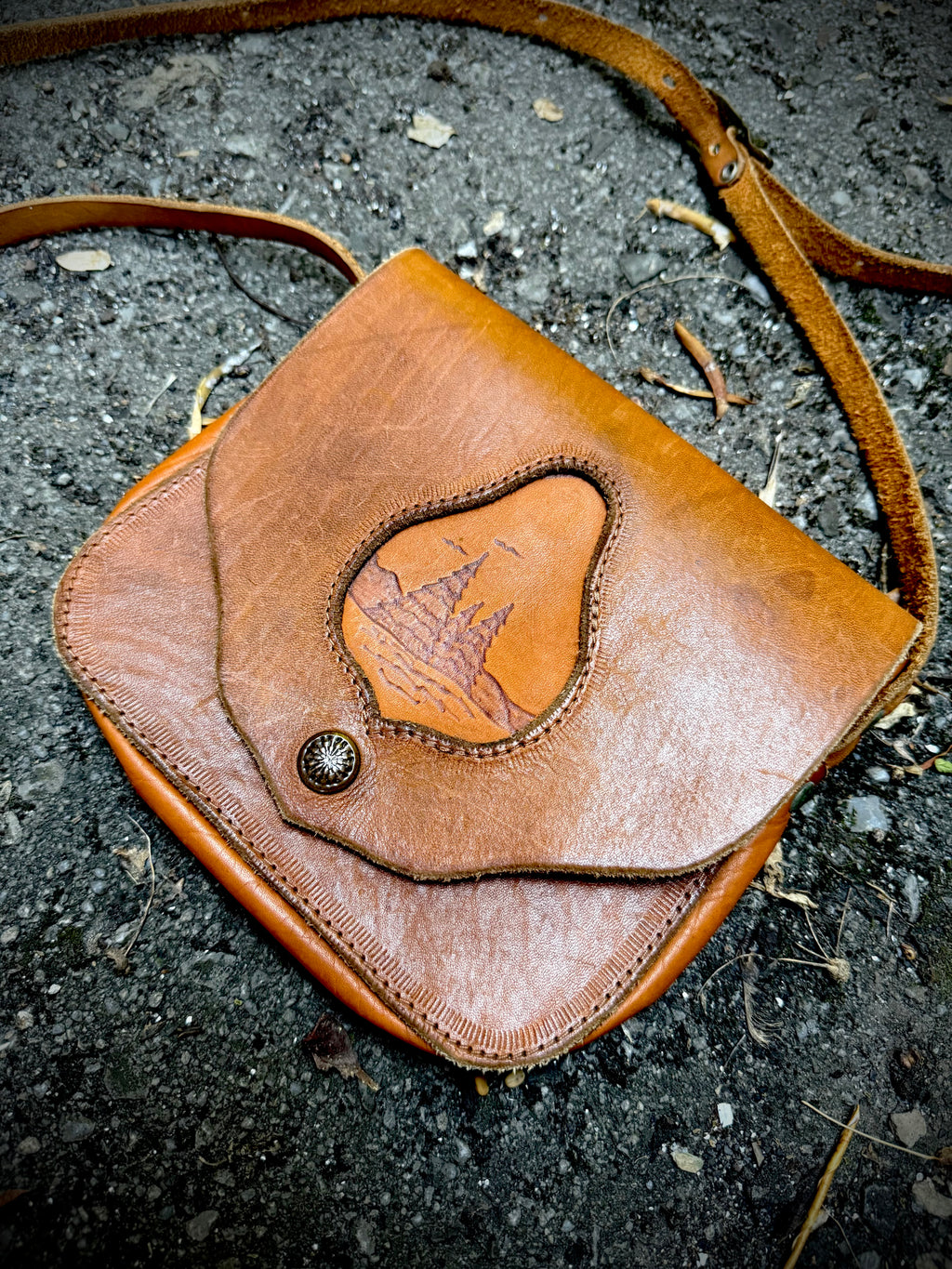 Coyote Crossing Crossbody Bag