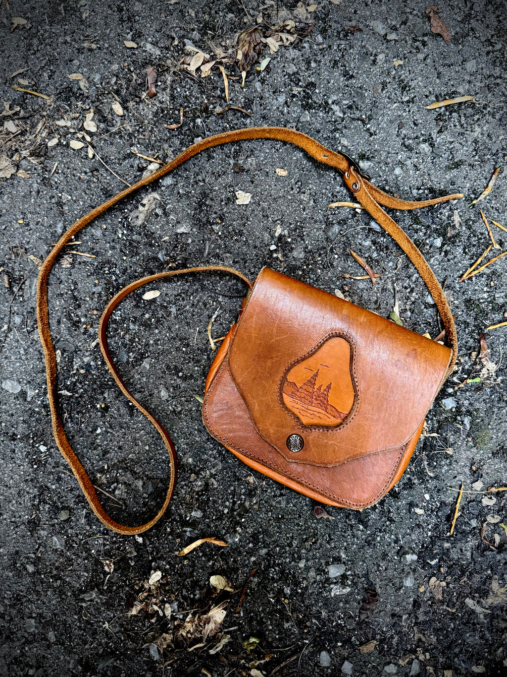 Coyote Crossing Crossbody Bag