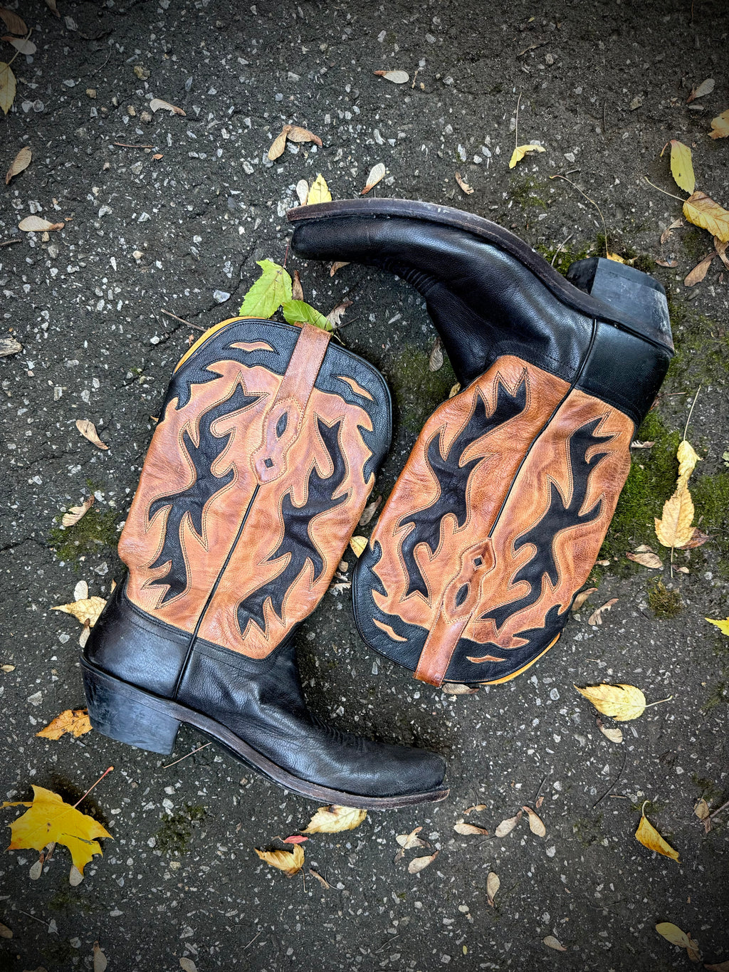 Old West Black & Cognac Cowboy Boots | Women’s 9.5