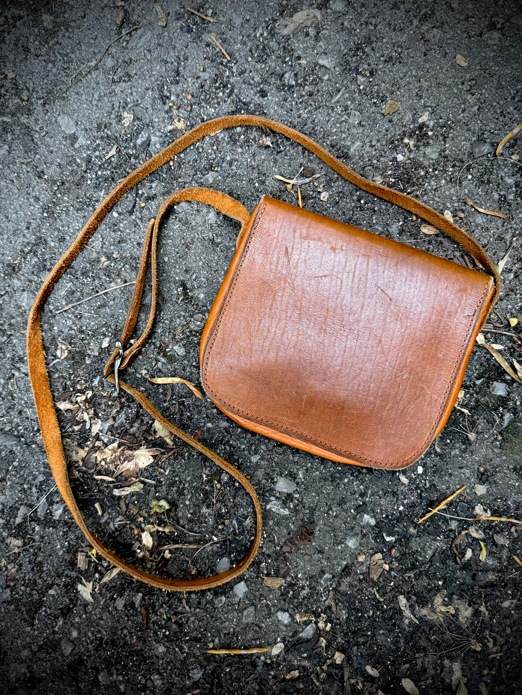 Coyote Crossing Crossbody Bag