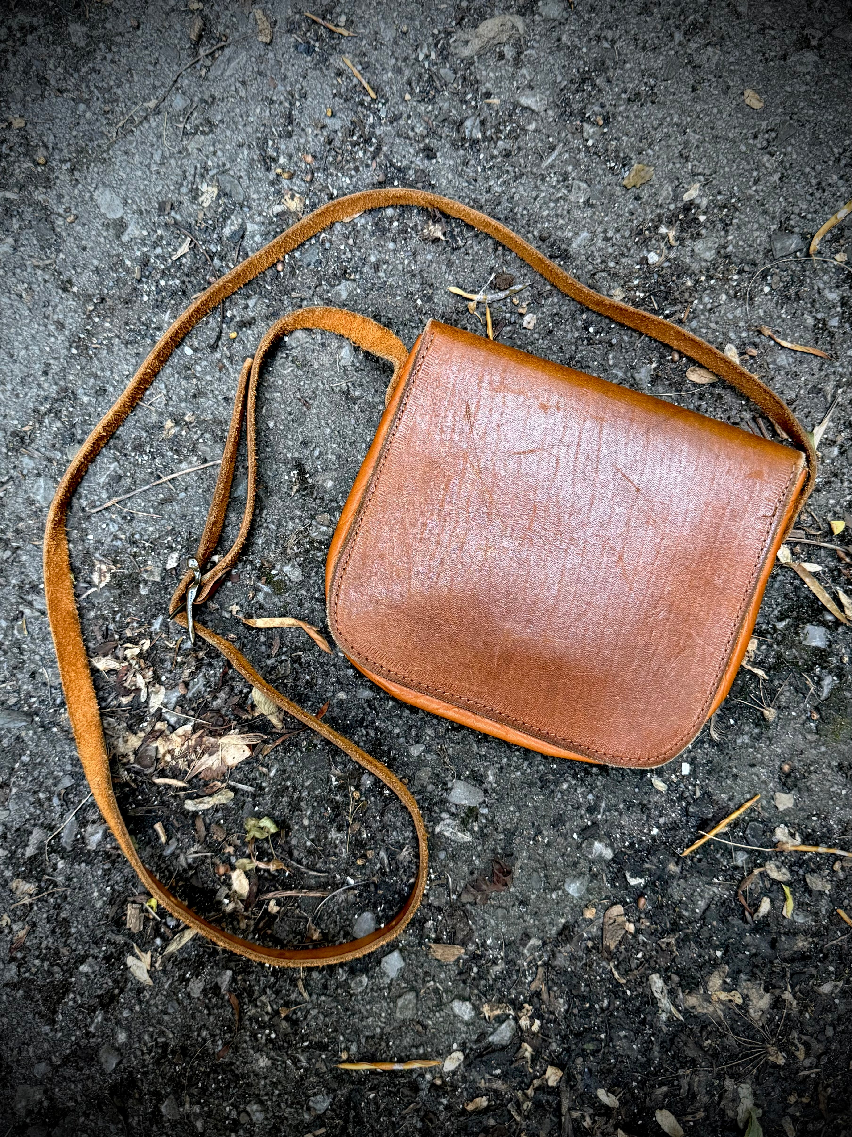Coyote Crossing Crossbody Bag